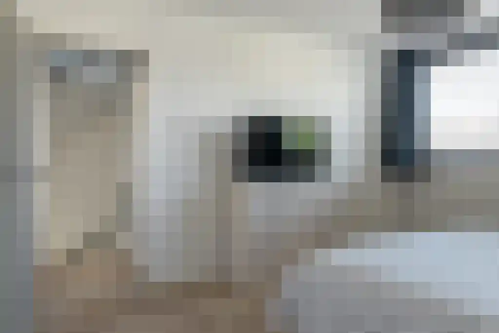 Egelskop 11 Heerenveen thumbnail 34