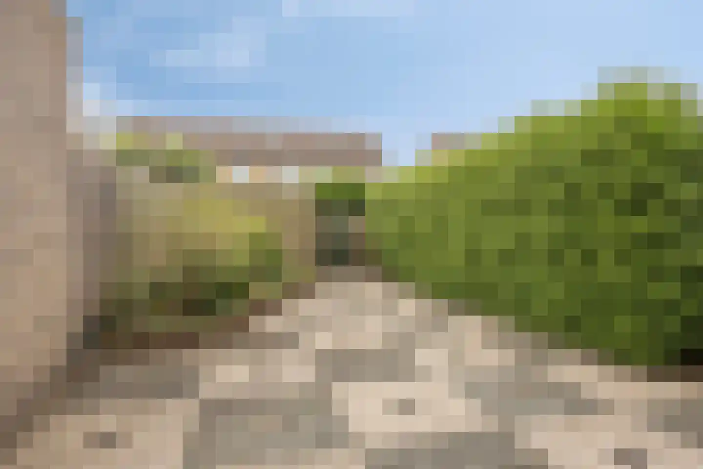 Egelslag 21 Assen thumbnail 31