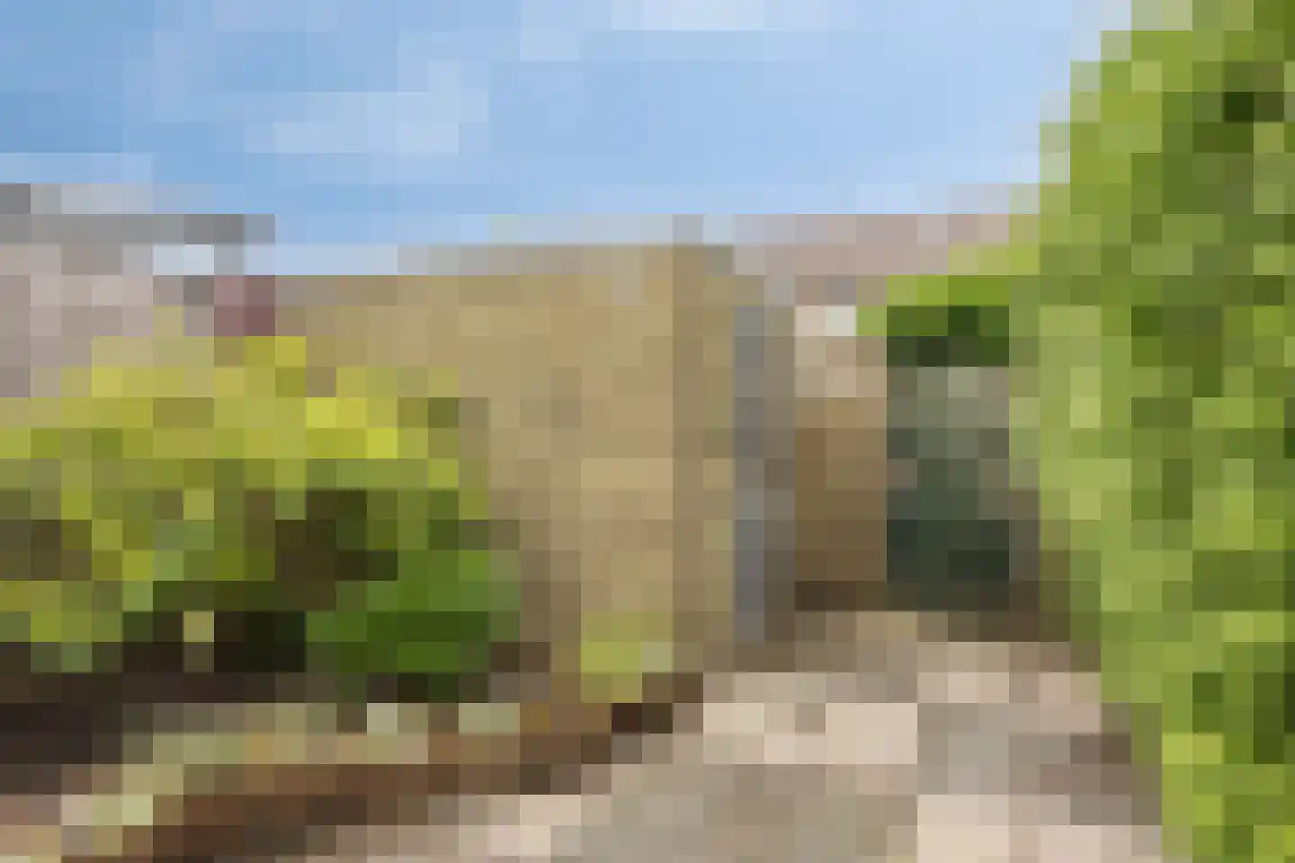 Egelslag 21 Assen thumbnail 32