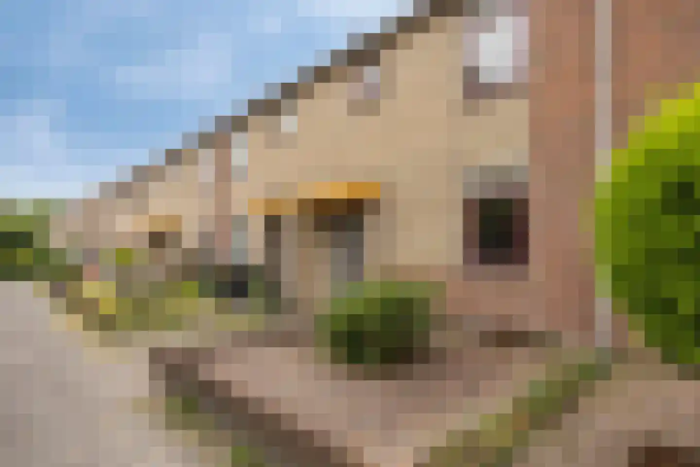 Egelslag 21 Assen thumbnail 6