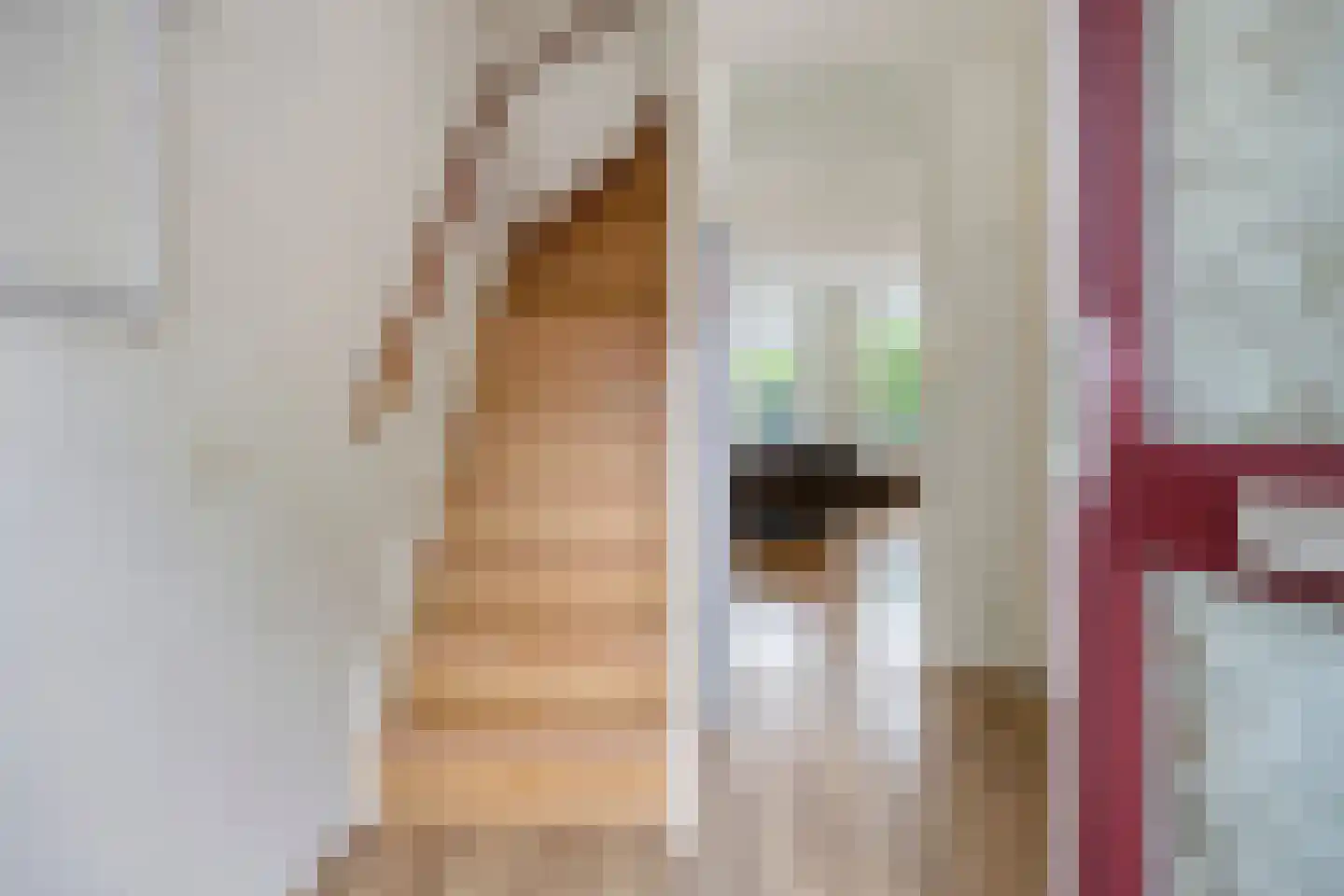 Egelslag 21 Assen thumbnail 7
