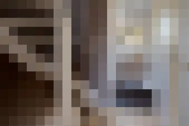 Egelslag 23 Assen thumbnail 23