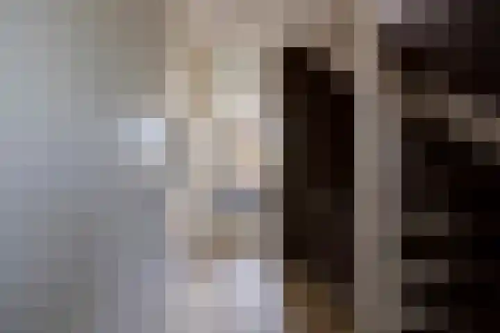 Egelslag 23 Assen thumbnail 28