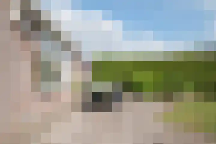 Egelslag 23 Assen thumbnail 36