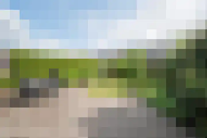 Egelslag 23 Assen thumbnail 37
