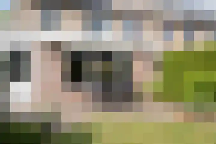 Egelslag 23 Assen thumbnail 38
