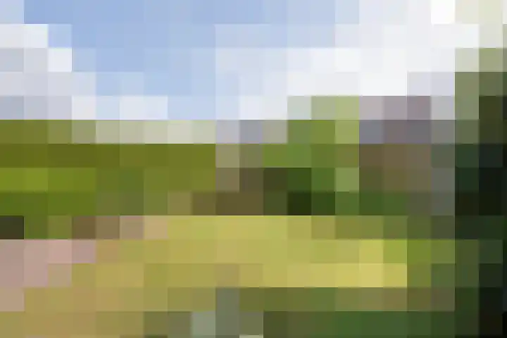 Egelslag 23 Assen thumbnail 39