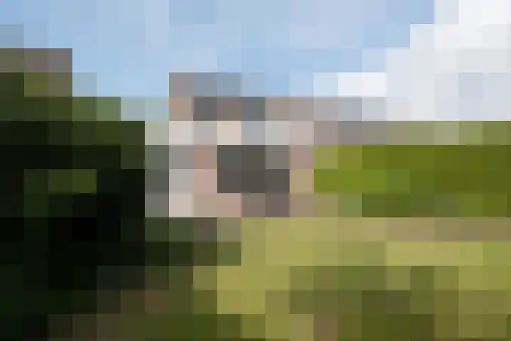 Egelslag 23 Assen thumbnail 40