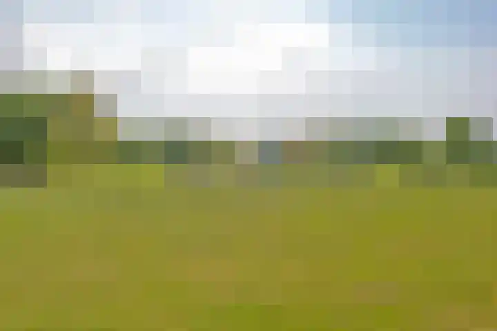Egelslag 23 Assen thumbnail 41