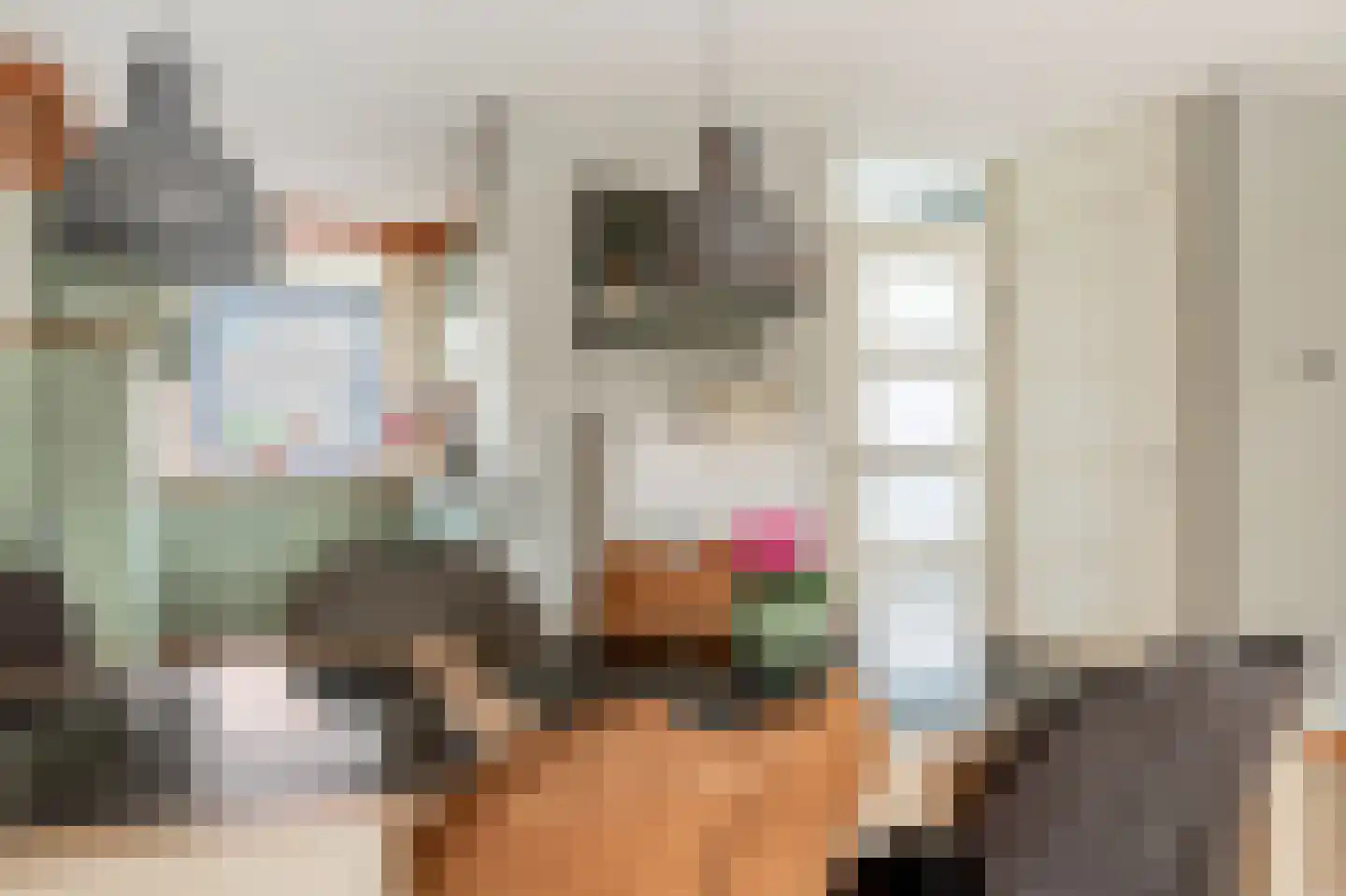 Egelslag 25 Assen thumbnail 19
