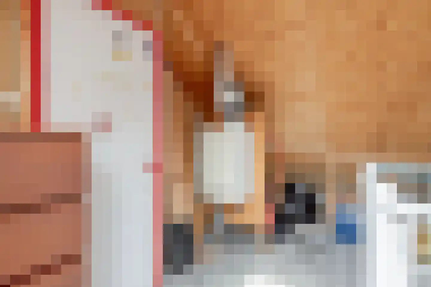 Egelslag 25 Assen thumbnail 31