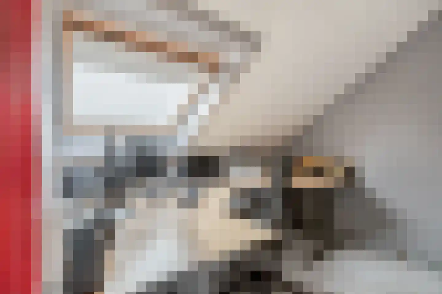 Egelslag 25 Assen thumbnail 32