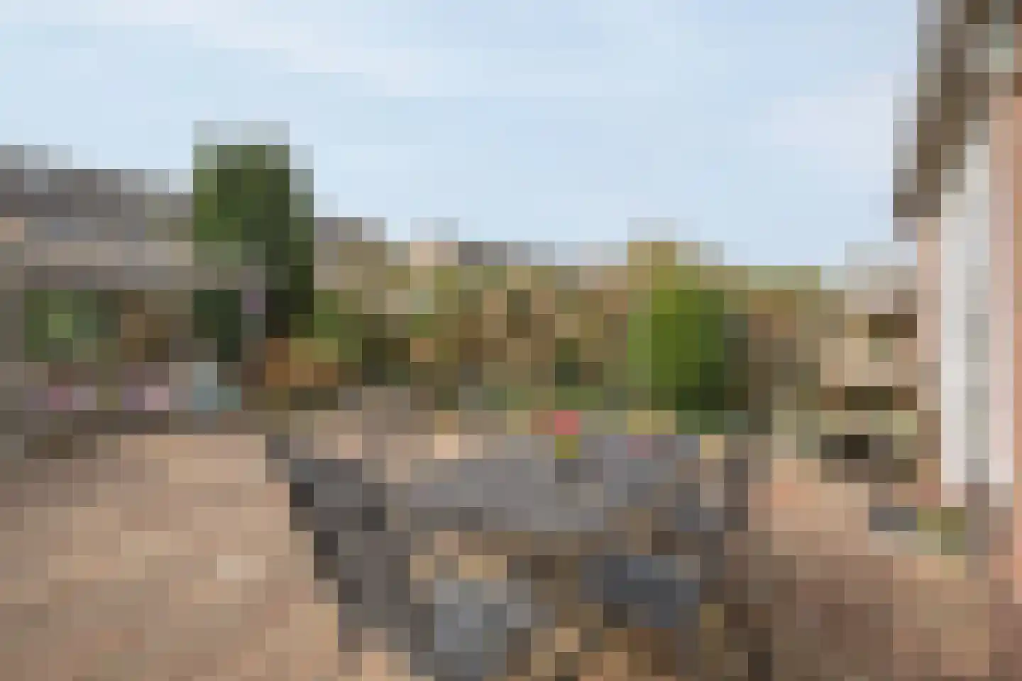Egelslag 25 Assen thumbnail 4