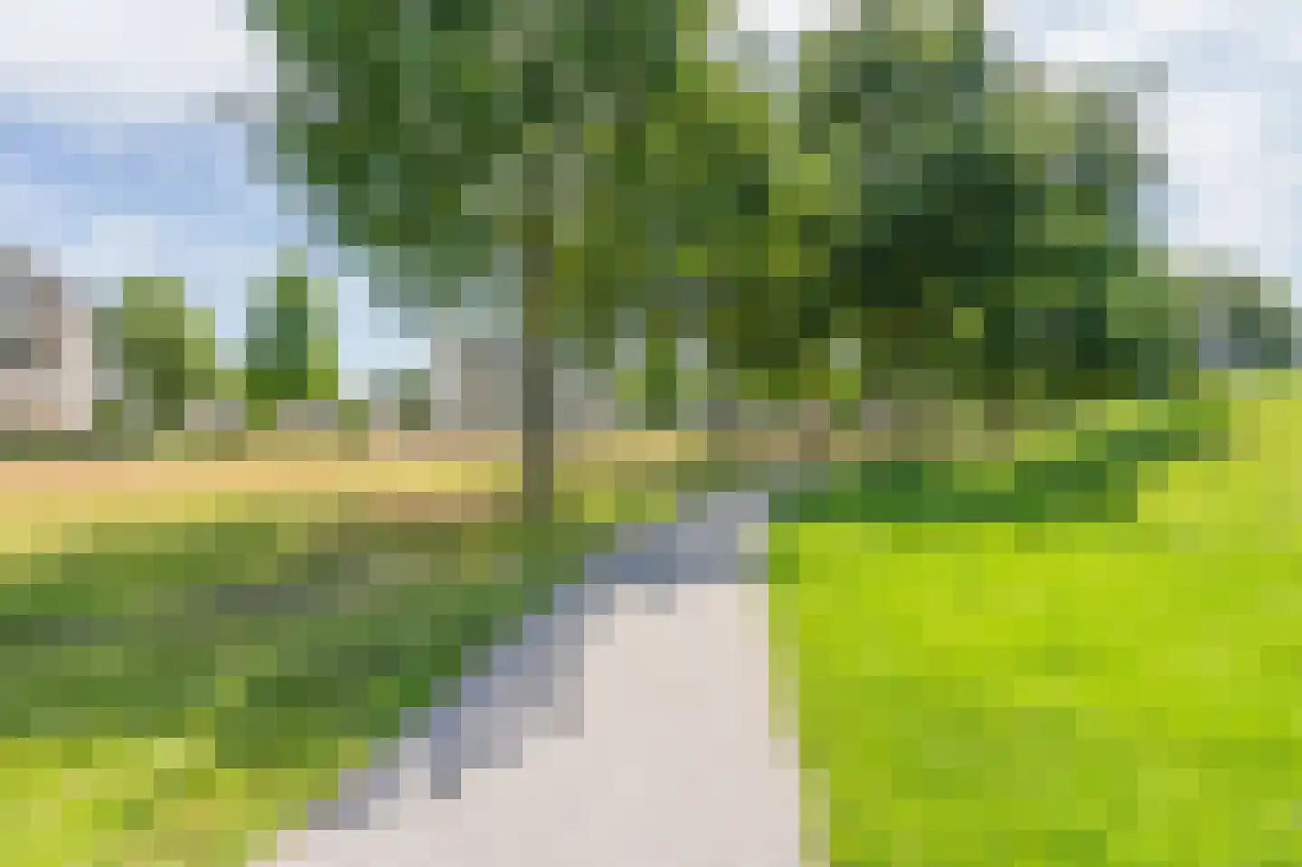 Egelslag 94 Assen thumbnail 40