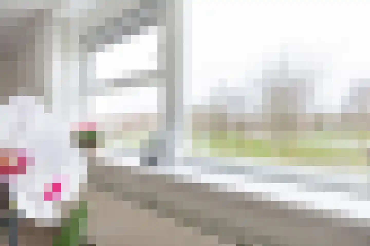 Egelslag 96 Assen thumbnail 19