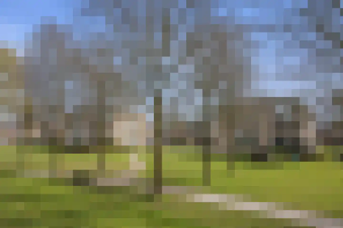 Egelslag 96 Assen thumbnail 48