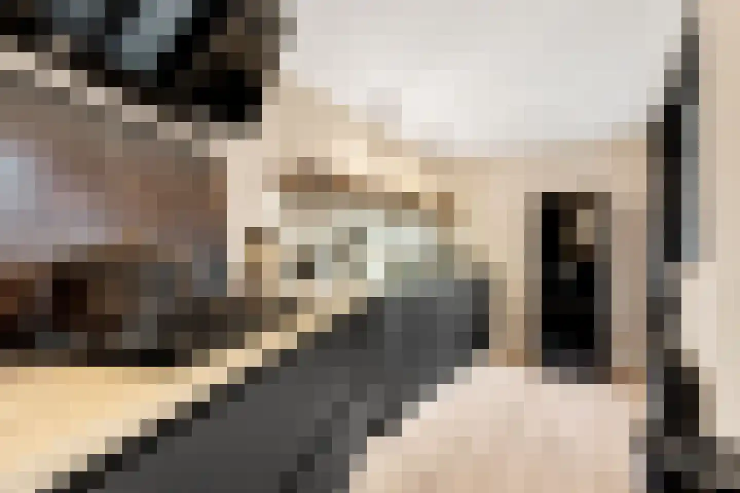 Egelstraat 16 Hilversum thumbnail 16