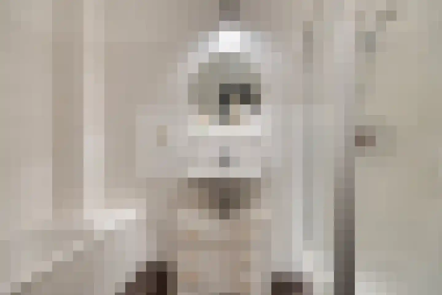 Egelstraat 17 Eindhoven thumbnail 12