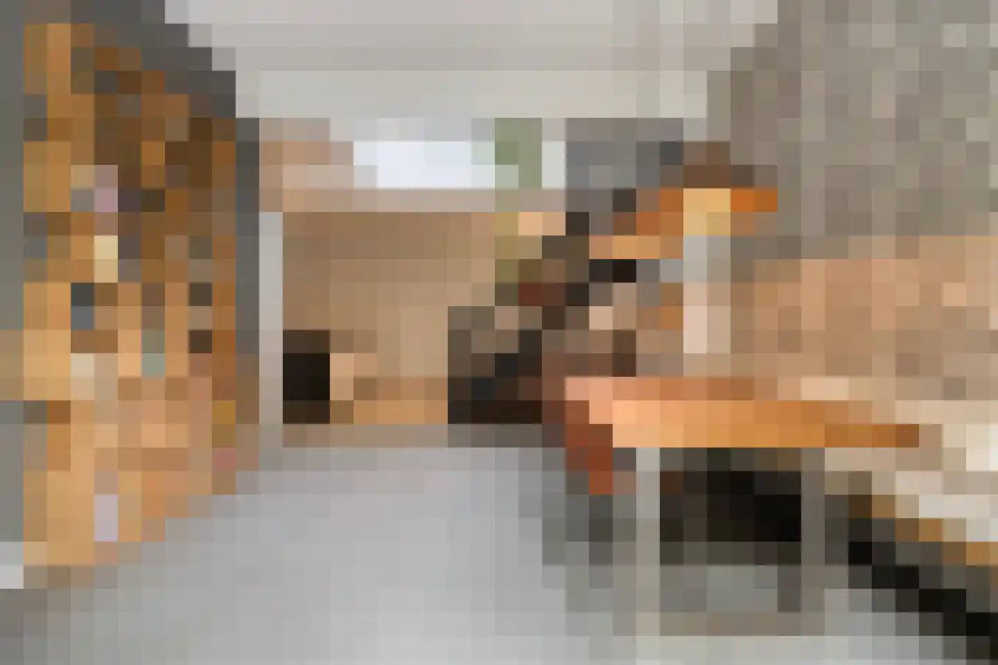 Egelstraat 17 Eindhoven thumbnail 4