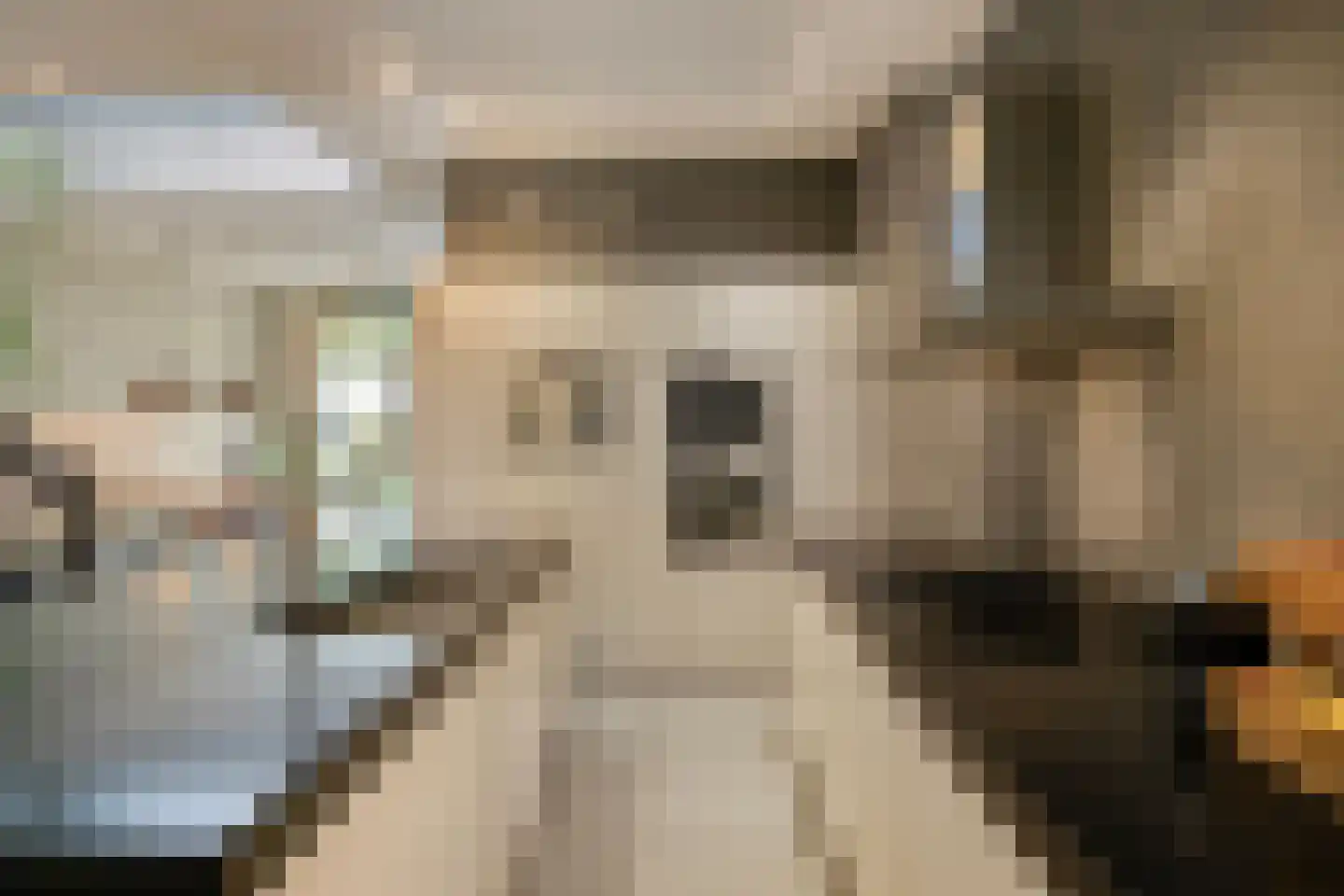 Egelstraat 17 Eindhoven thumbnail 7