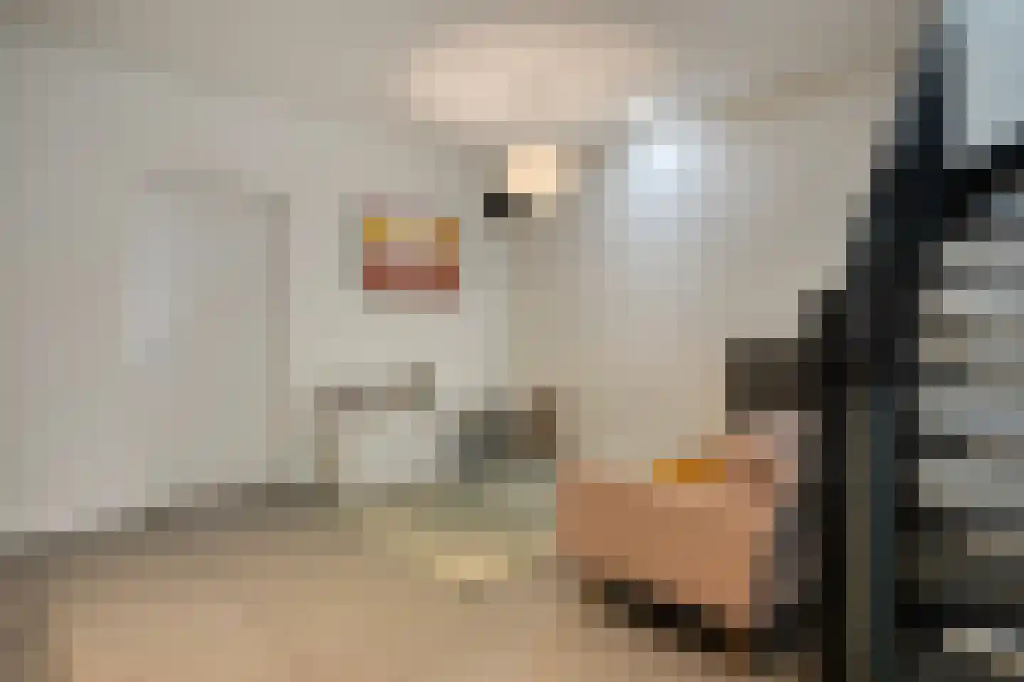 Egelstraat 17 Eindhoven thumbnail 9