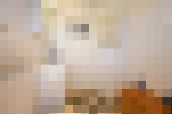 Egelstraat 8 Hilversum thumbnail 22
