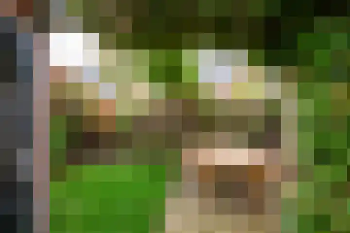 Egelstraat 8 Hilversum thumbnail 33