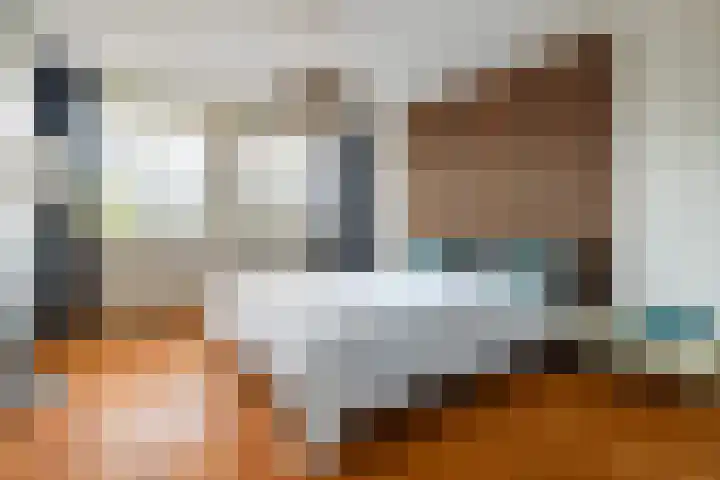Egeltjeslaar 24 Bavel thumbnail 16