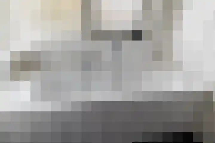 Egeltjeslaar 24 Bavel thumbnail 22