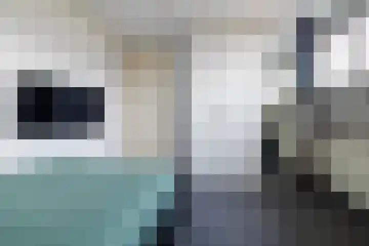 Egeltjeslaar 24 Bavel thumbnail 25