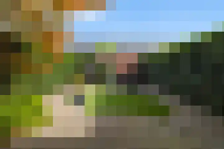 Egeltjeslaar 24 Bavel thumbnail 27