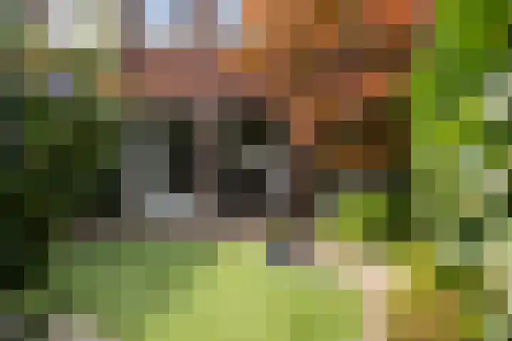 Egeltjeslaar 24 Bavel thumbnail 32