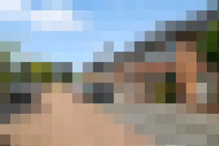 Egeltjeslaar 24 Bavel thumbnail 35
