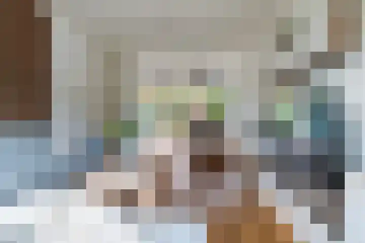 Egeltjeslaar 24 Bavel thumbnail 7