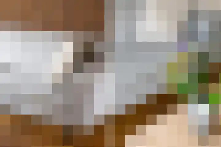 Egeltjeslaar 24 Bavel thumbnail 8