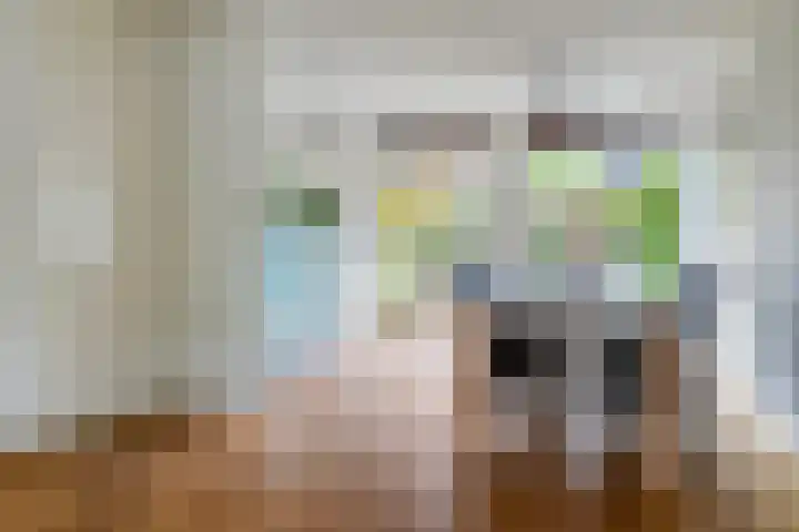 Egeltjeslaar 24 Bavel thumbnail 9