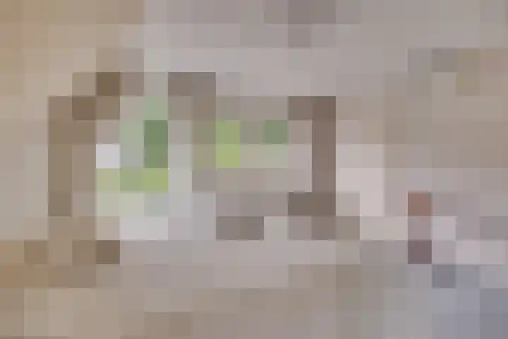 Egeltjespad 7 Soest thumbnail 38