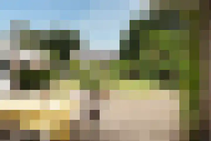 Egeltjespad 7 Soest thumbnail 41