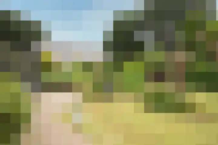 Egeltjespad 7 Soest thumbnail 46