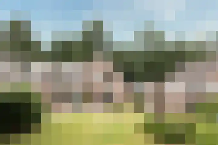 Egeltjespad 7 Soest thumbnail 48