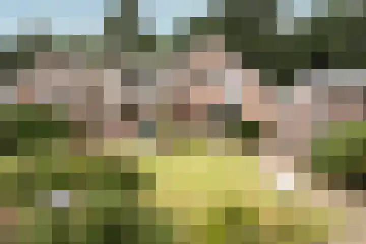 Egeltjespad 7 Soest thumbnail 49