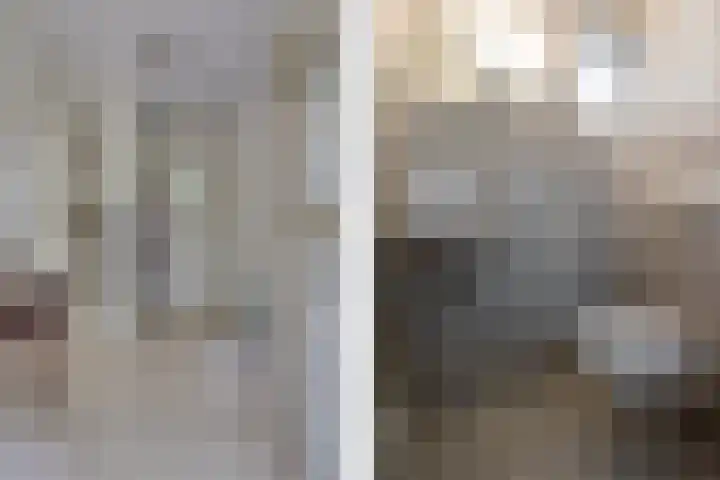 Egeltjespad 7 Soest thumbnail 5