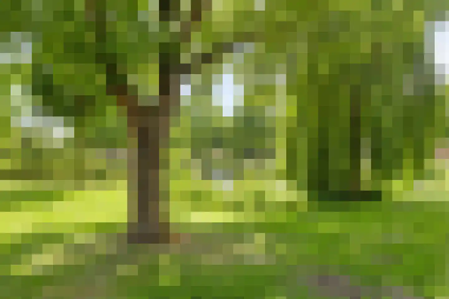 Egelveen 146 Spijkenisse thumbnail 19