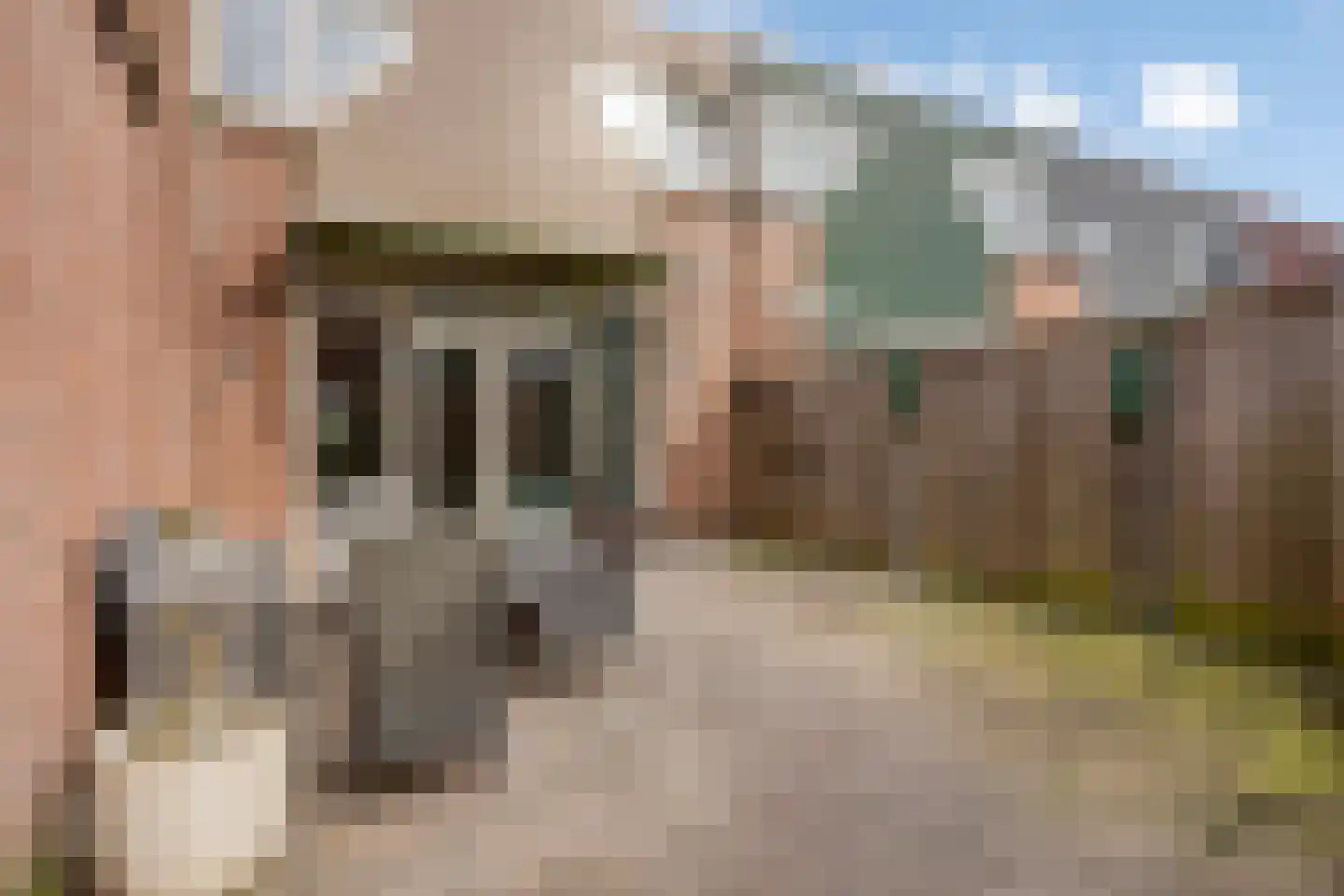 Egelveen 201 Spijkenisse thumbnail 30