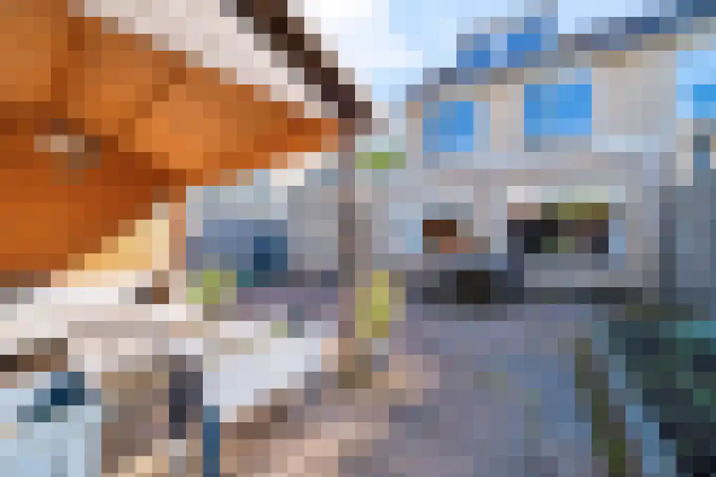 Egelveld 11 Zwolle thumbnail 26