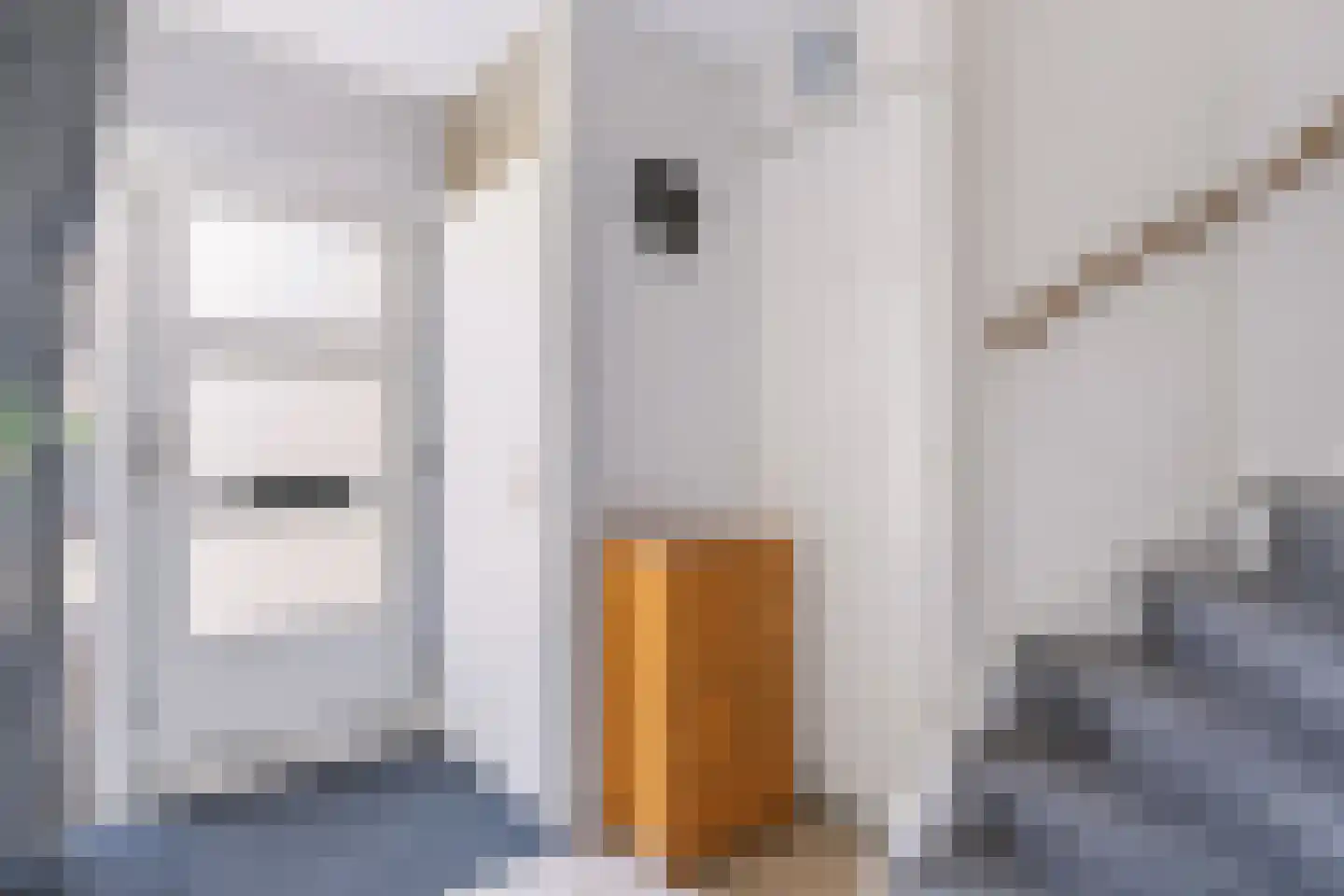 Egelveld 11 Zwolle thumbnail 4