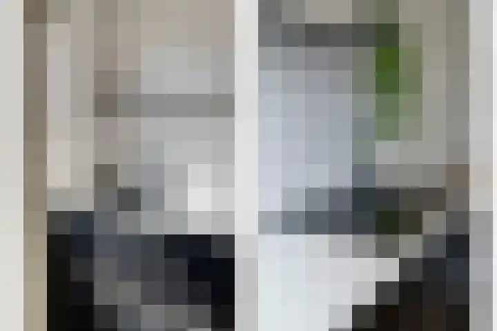 Egelveld 9 Zwolle thumbnail 12