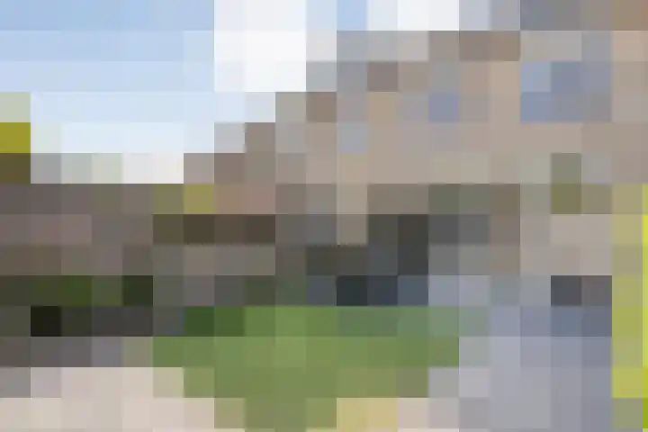 Egelveld 9 Zwolle thumbnail 30