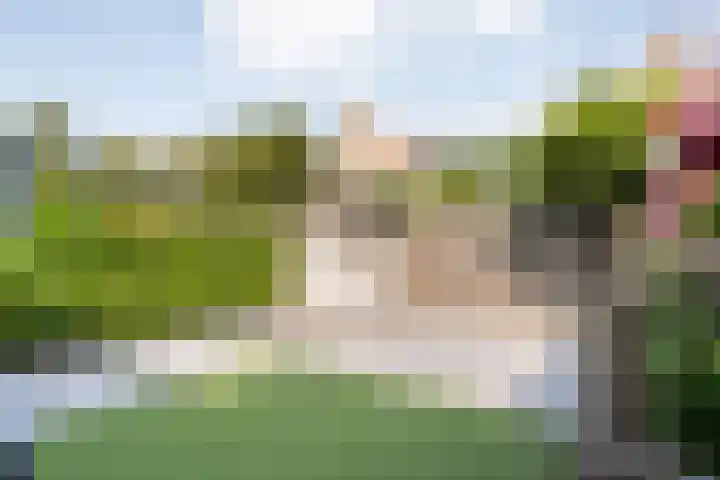 Egelveld 9 Zwolle thumbnail 32