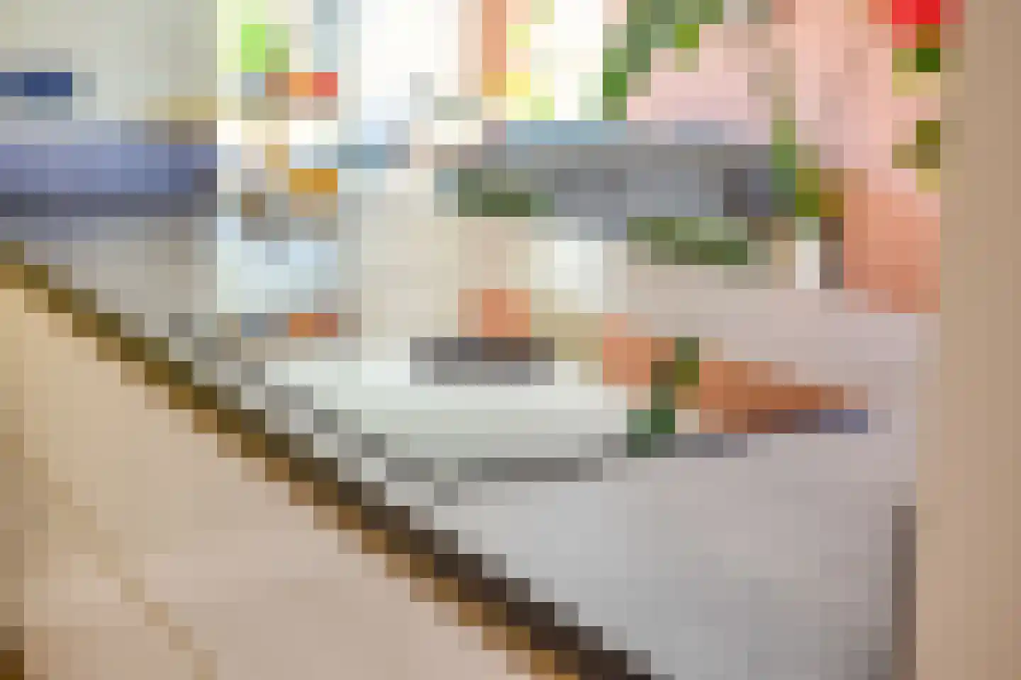 Egelweide 6 Veghel thumbnail 19